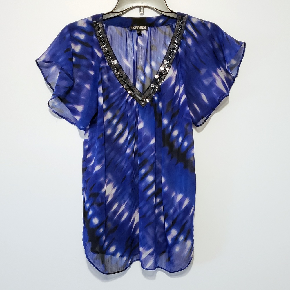 Express V Neck Sheer Blouse
